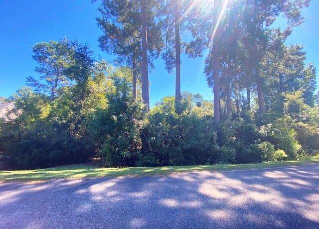 Property at 0 Chapel Creek Dr, Santee, SC 29142
