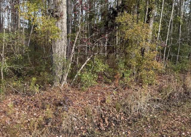Property at 0 Appleby Rd, Ruffin, SC 29475
