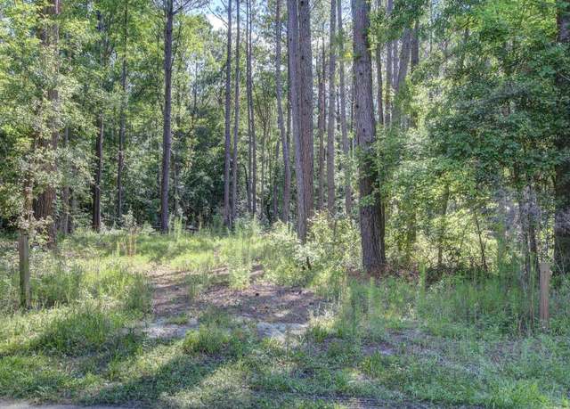 Property at 0 Paisan Rd, Summerville, SC 29483