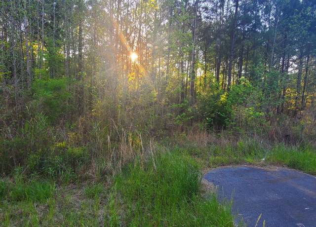 Property at 0000 Givhans Rd, Ridgeville, SC 29472