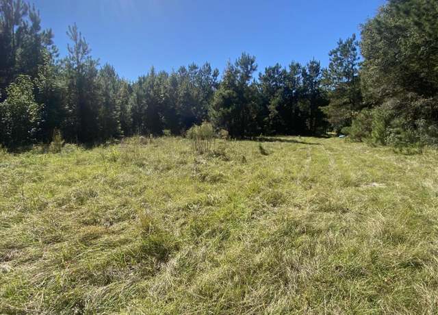 Property at 259 Interstate View Dr, Ridgeville, SC 29472