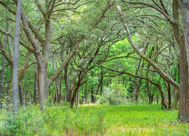 Property at Lot 3 King Rail Ln, Edisto Island, SC 29438