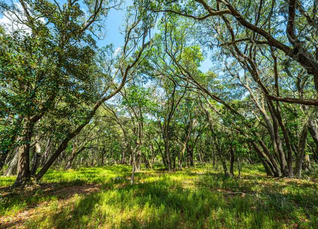 Property at Lot 4 King Rail Ln, Edisto Island, SC 29438