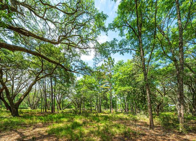 Property at Lot 5 King Rail Ln, Edisto Island, SC 29438