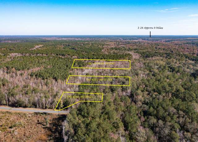 Property at 1 Dennis Britt Rd, Saint George, SC 29477