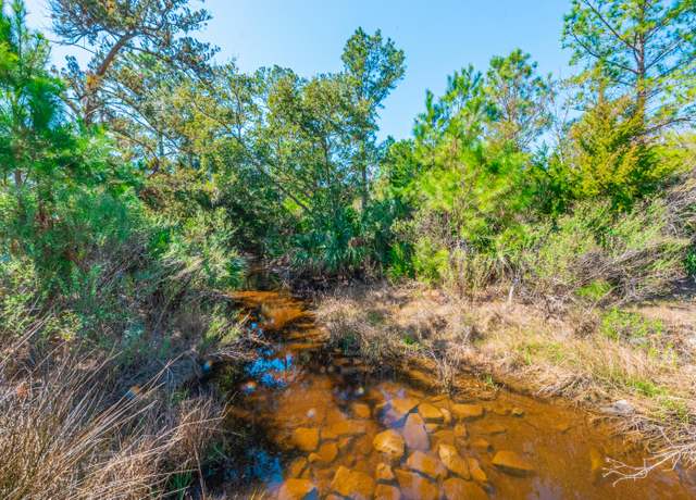 Property at 0 King Rail Ln, Edisto Island, SC 29438