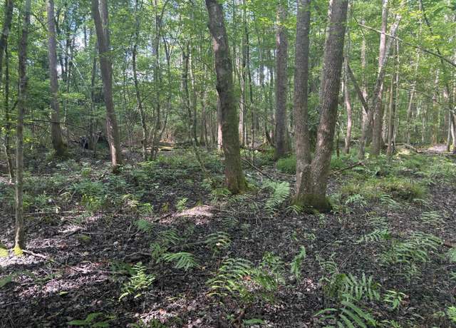 Property at 0 Back Pen Rd, Johns Island, SC 29455