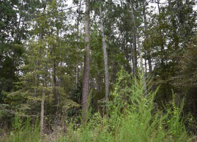 Property at 0 Daffodil Ln, Hemingway, SC 29554