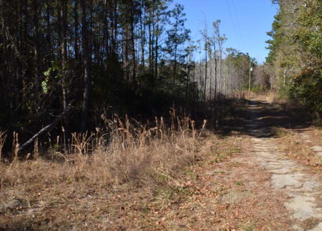 Property at 0 Black Tom Rd, Moncks Corner, SC 29461