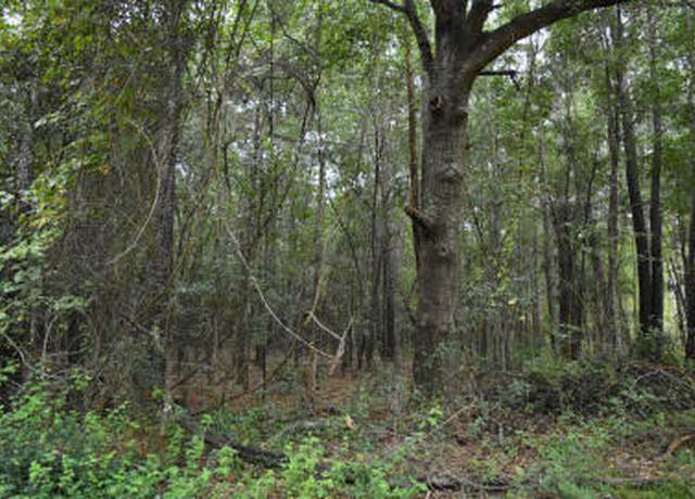 Property at Lot 14 Tupperware Rd, Hemingway, SC 29554