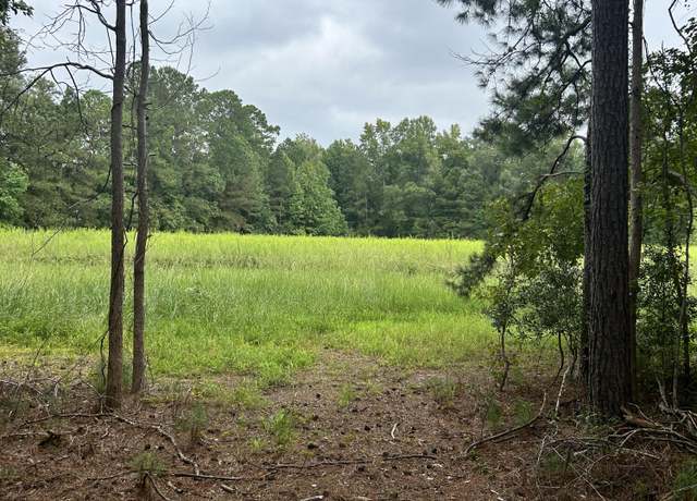 Property at 00 Highway 61, Ridgeville, SC 29472