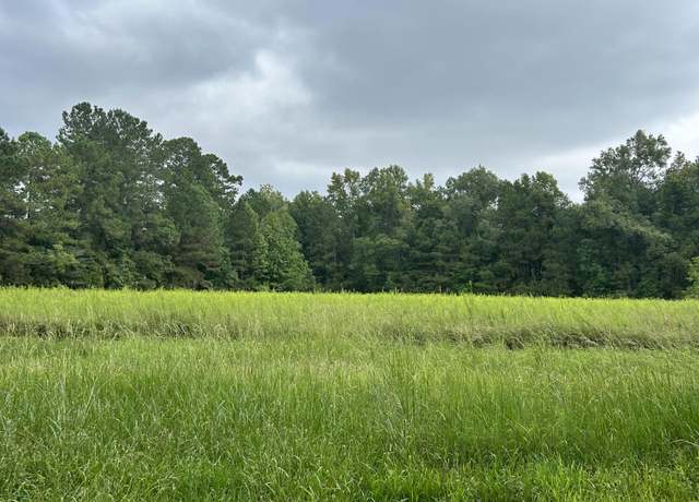 Property at 00 Highway 61, Ridgeville, SC 29472