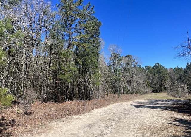 Property at 01 China Ct, Walterboro, SC 29488