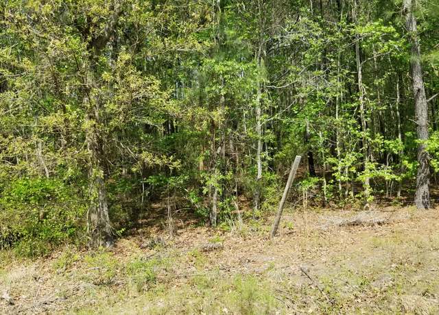 Property at 0 Belton Ln, Ruffin, SC 29475