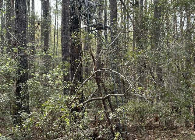 Property at 0 Palm St, Reevesville, SC 29471