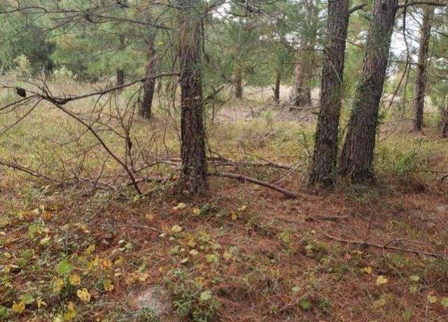 Property at 808 Lakeside View Ln, Orangeburg, SC 29115