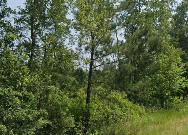 Property at 0 Wesley Chapel Ave, Cottageville, SC 29435