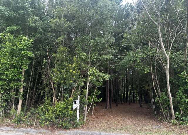 Property at 0 E Roosevelt St, Elloree, SC 29047