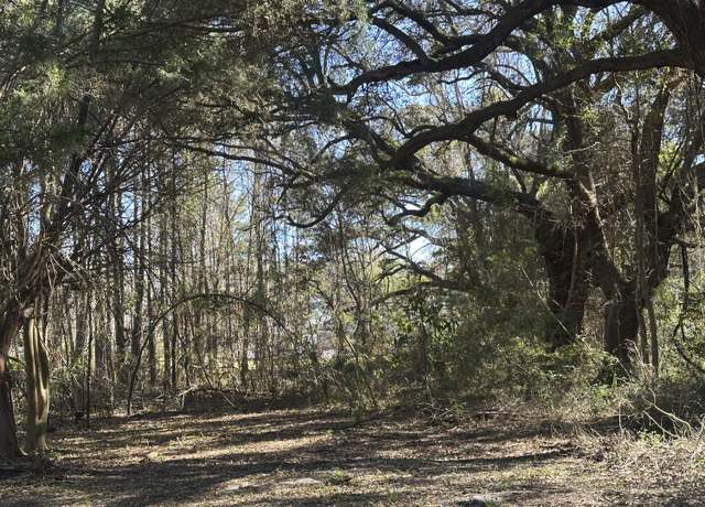 Property at 1641 Cuffy Ln, Charleston, SC 29412