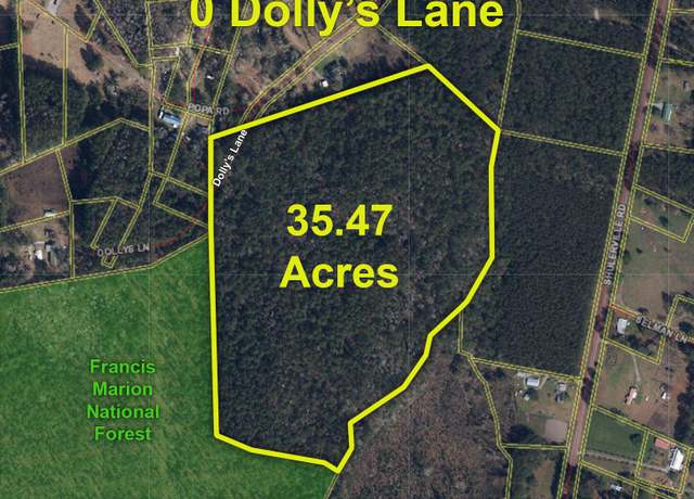 Property at 0 Dollys Ln, Shulerville, SC 29453