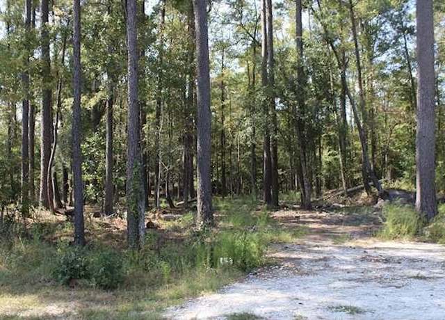 Property at 230 Appleby Ave, Estill, SC 29918