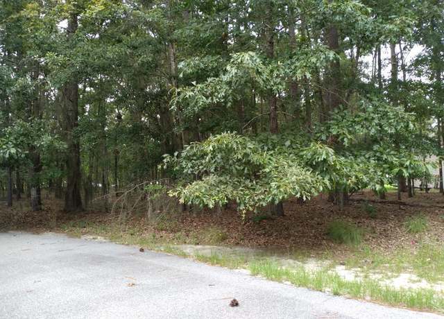 Property at Lot 4 Lake Breeze, Elloree, SC 29047