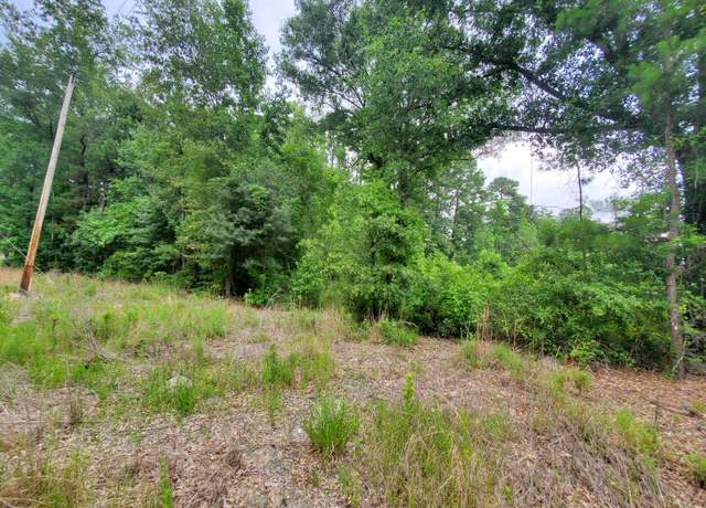 Property at 0 Second Texas Rd, Saint George, SC 29477