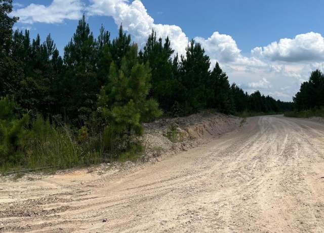 Property at Bff 2b Brunson Teal Rd Unit Bff 2b, Patrick, SC 29584