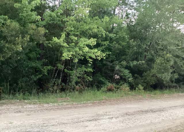 Property at 0 Cottage Ln, Saint Stephen, SC 29479