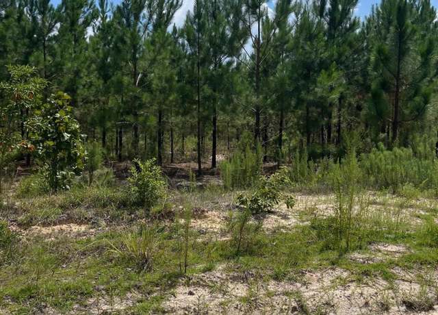 Property at Bff 1c Brunson Teal Rd Unit Bff 1c, Patrick, SC 29584