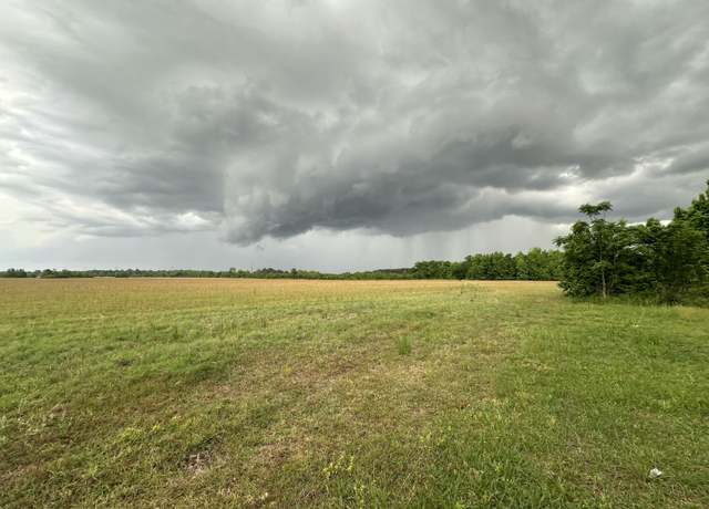 Property at 0 Broxton Bridge Hwy, Lodge, SC 29082