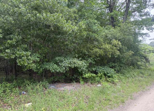 Property at 0000 Larkin Dr, Orangeburg, SC 29115