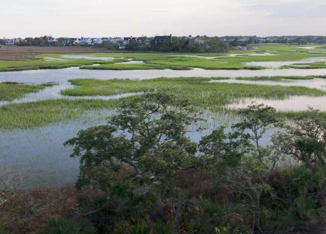 Property at 1153 Ship Builder St, Charleston, SC 29492