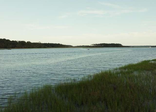 Property at 1171 Ship Builder St, Charleston, SC 29492