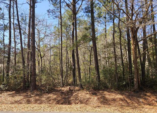 Property at 0 Brock St, Georgetown, SC 29440