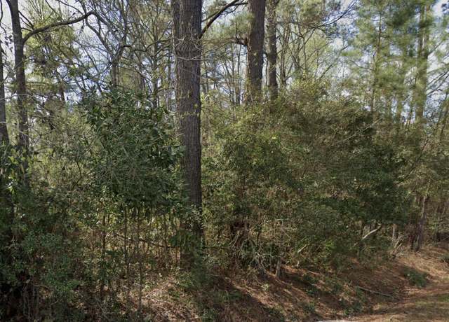 Property at 205 Ginn Altman Ave, Hampton, SC 29924