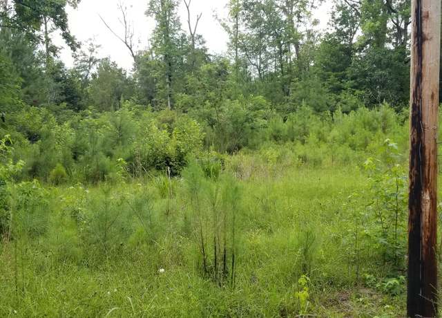 Property at 4942 Jacksonboro Rd, Round O, SC 29474