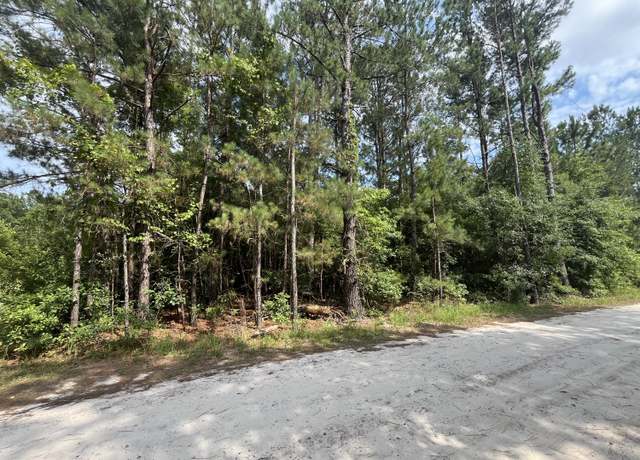 Property at 398 Pond Town Rd, Hampton, SC 29924