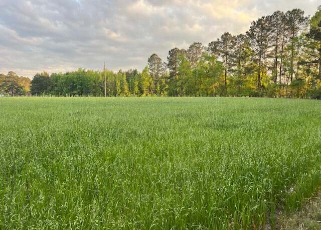 Property at 0 Lodge Hwy, Lodge, SC 29082