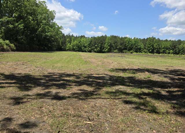 Property at 00 Flatwoods Rd, Reevesville, SC 29471