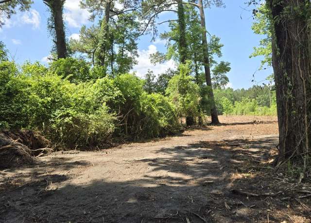 Property at 001 Flatwoods Rd, Reevesville, SC 29471
