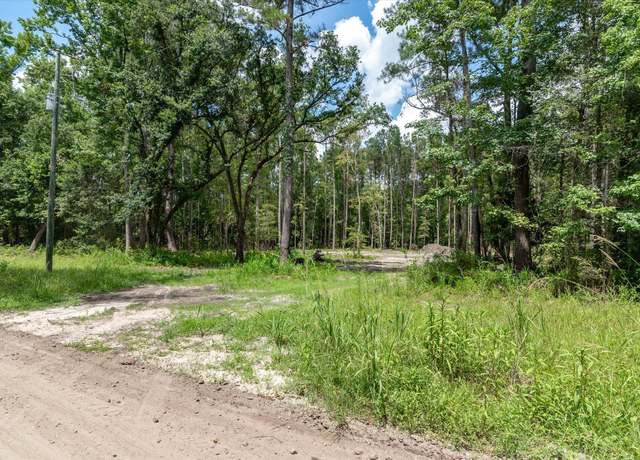 Property at 98 Manatee Ln, Green Pond, SC 29446