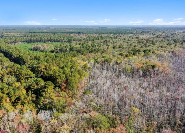 Property at 0 Spring Grove Rd, Adams Run, SC 29426