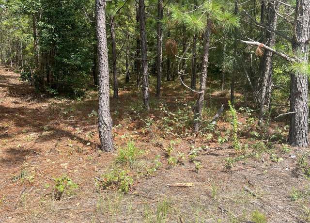Property at Ppf 7 Payne Pond Rd Unit Ppf 7, Westville, SC 29175