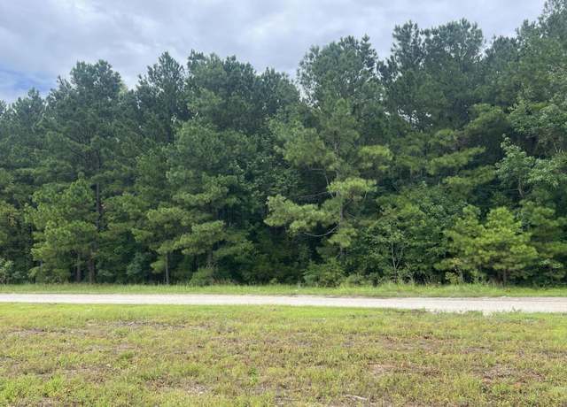 Property at 0 Herring Dr, Manning, SC 29102