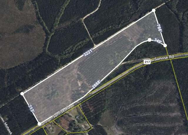 Property at 155 Yamacraw Dr, Smoaks, SC 29481