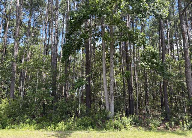 Property at 110 Rayland Cir, Walterboro, SC 29488