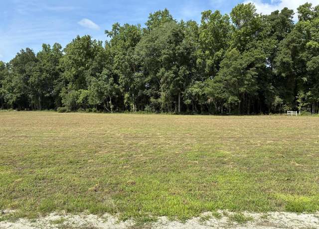 Property at 425 Wiggins Estates Ln, Holly Hill, SC 29059
