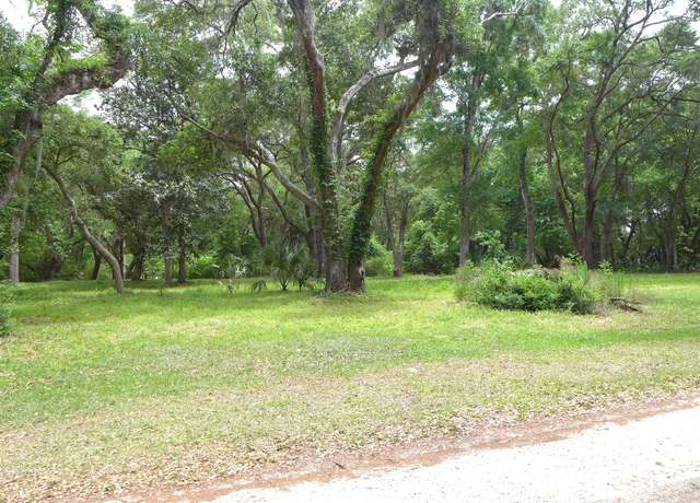Property at 154 Oakwood Ln, Edisto Island, SC 29438