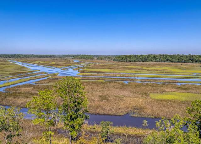 Property at 106 Peninsula Dr, Ravenel, SC 29470